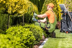 Alta Property Services HOA maintenance technician working at a Wheeling IL community property